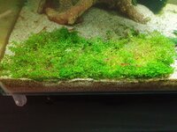 20201209_114441.jpg