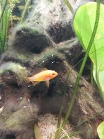 20201210_141206.jpg