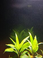 20201215_102539.jpg