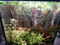 20201219_112638.jpg