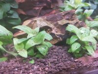IMG20201216002614.jpg