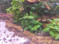 IMG20201216002551.jpg