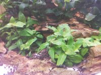 IMG20201216002543.jpg