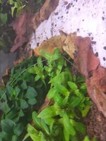 IMG20201216002537.jpg