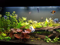 Aquarium.jpg