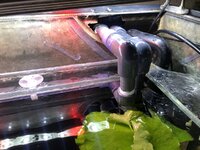 IMG_2257.JPEG