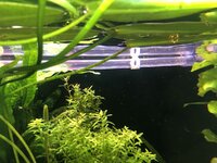 IMG_2259.JPEG