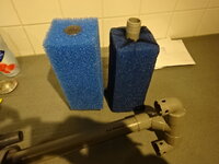 DSC03450.JPG