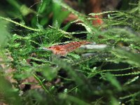 IMG_20201222_112050.jpg