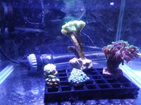 IMG_20201223_210213.jpg
