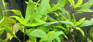 IMG_20201224_122310.jpg