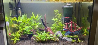 IMG_20201224_122958.jpg