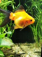 IMG_20201224_225818.jpg