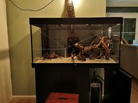 IMG_20201209_213647.jpg