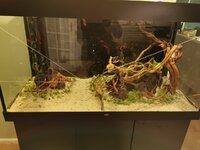 IMG_20201209_223536.jpg