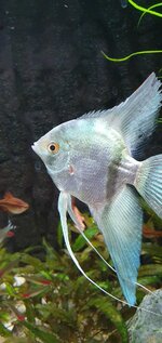 20201227_140339.jpg