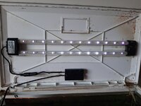 20201229_161956.jpg