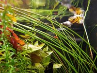 WhatsApp Image 2020-12-31 at 17.34.05 (1).jpeg