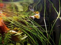 WhatsApp Image 2020-12-31 at 17.34.05.jpeg