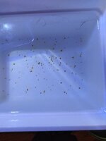 IMG_20201231_205443.jpg