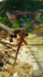 20201226_155959.jpg