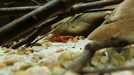 20201208_221847.jpg