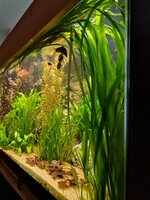 20210104_205839.jpg