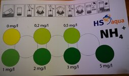 hstest.jpg