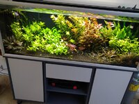 DSC_0246.JPG