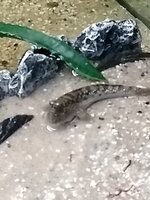 IMG_20210107_125144146.jpg