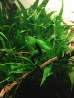 IMG_20210119_193745845.jpg