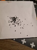 16110853467735958597749173988375.jpg