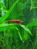 20210120_222824.jpg