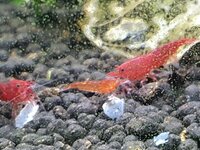 20210120_223029.jpg