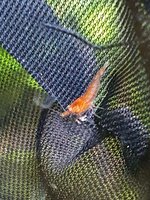 20210121_183055.jpg