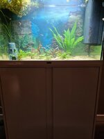 20210124_175639.jpg