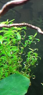 20210126_132341.jpg