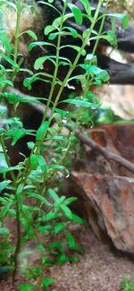20210126_132259.jpg