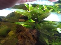 WhatsApp Image 2021-01-27 at 12.15.16.jpeg