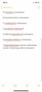 3D302904-F1A4-4807-ADF4-35C3222342DE.png
