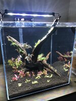 WeChat Image_20210217143412.jpg