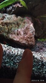 IMG_20210218_184604.jpg