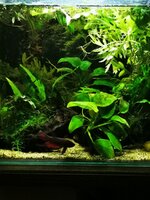 IMG_20210227_200845.jpg