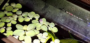 20210228_143203.jpg