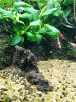 IMG_20210310_184216.jpg