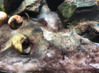 Screenshot 2021-03-12 at 13.42.45.png