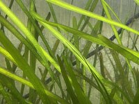 IMG_8915.JPEG