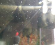 hydra_v_1426285808.jpg hydra_v_1426285808.jpg