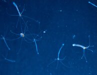 20210319_144019.jpg 20210319_144019.jpg