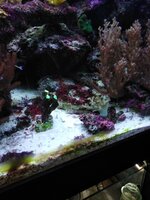 IMG_20210323_203036.jpg